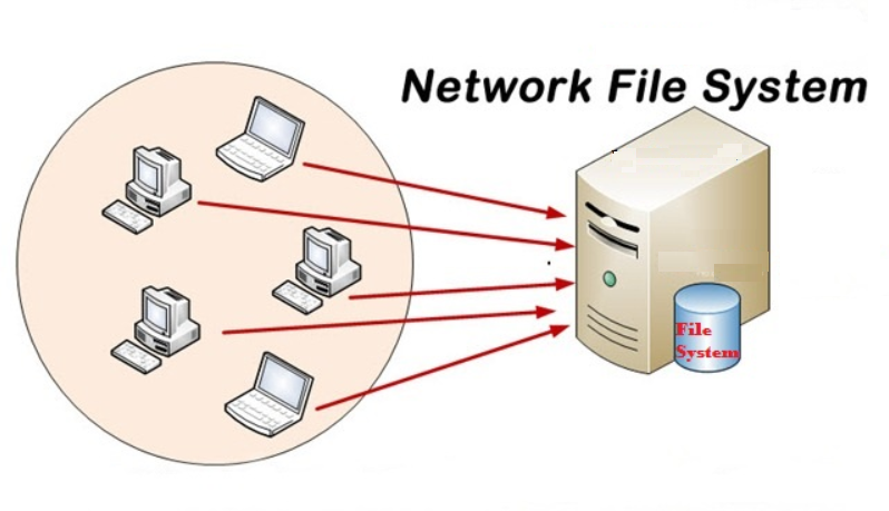 What is Network File System (NFS)